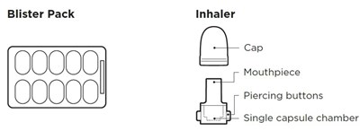 Blister and inhaler image.jpg Blister and inhaler image - Blister and inhaler image